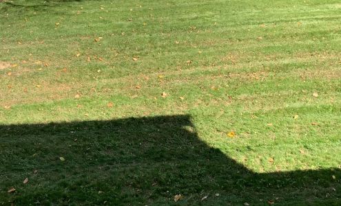 Mark's Lawn Services