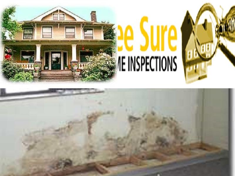 Bee Sure Home Inspection