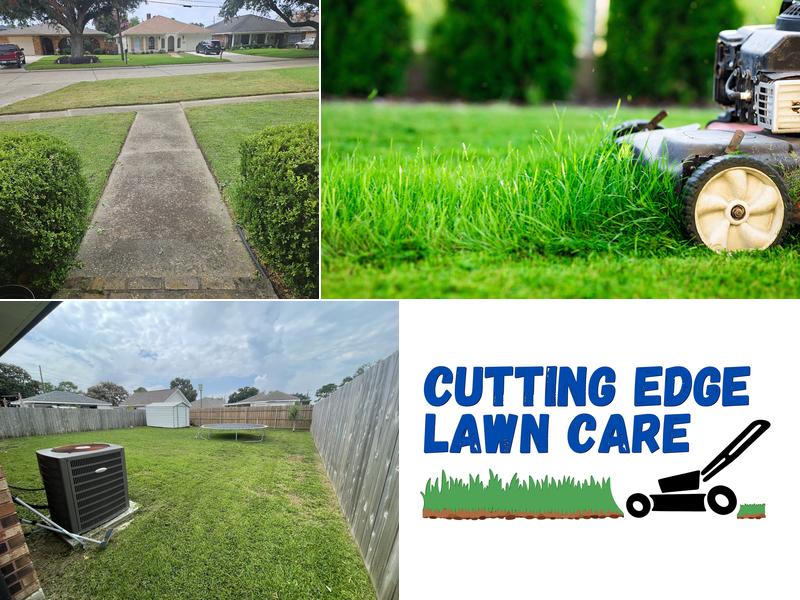 Cutting Edge Tree and Lawn