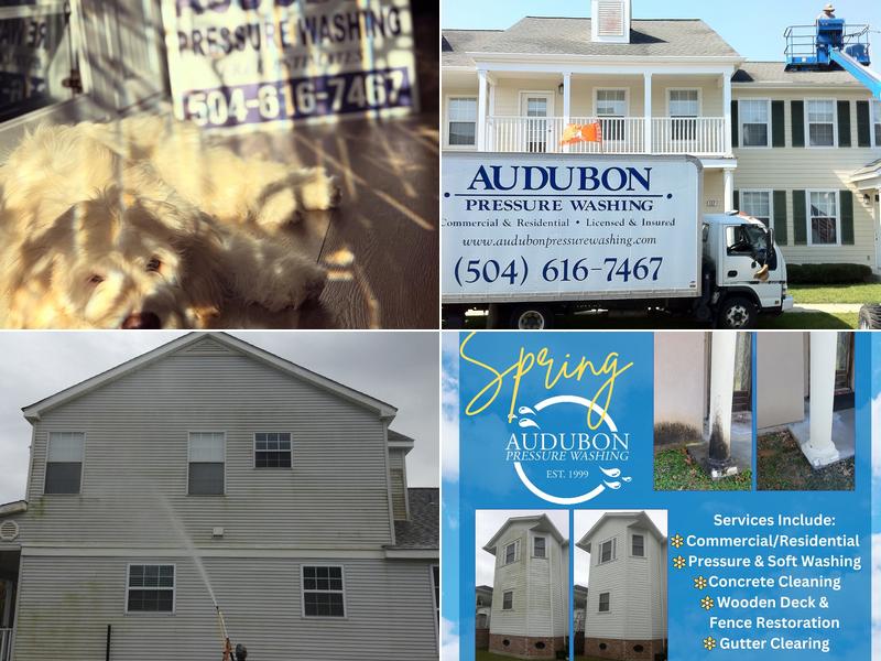 Audubon Pressure Washing