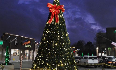 Bonin's Lawn & Lighting | Christmas Decor | Acadiana, Louisiana 110 Heath Dr, Scott Louisiana 70583