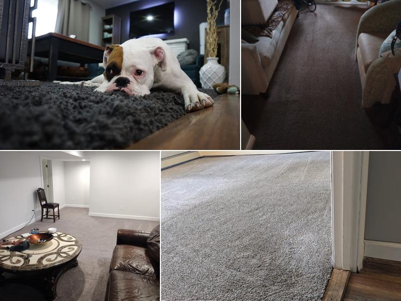 Ready2go Carpet & Upholstery Cleaning