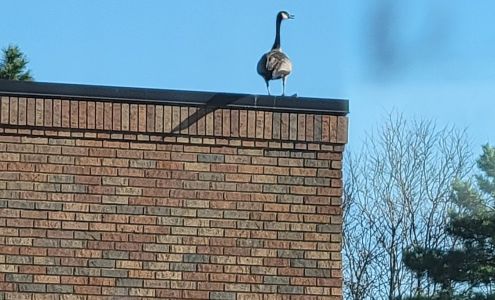 Viazanko Construction Services