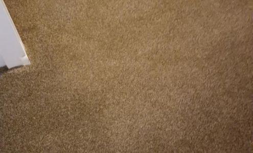 Extreme Carpet & Upholstery Cleaning 1923 Walcott St, Saginaw Michigan 48601