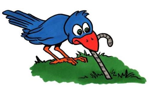 Early Bird Lawn Services