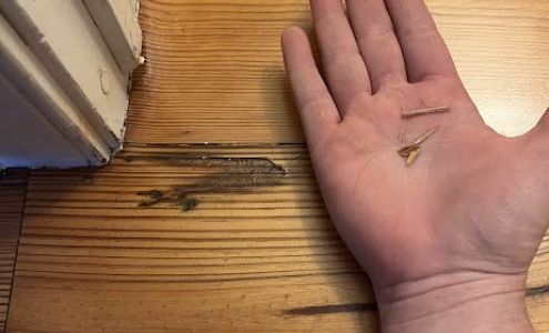 A.T. Frank Floor Covering