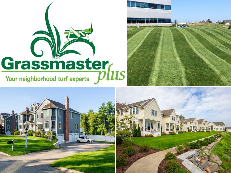 Grassmaster Plus