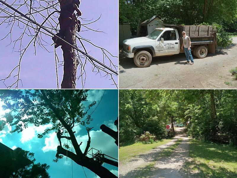 Ray's Tree Services