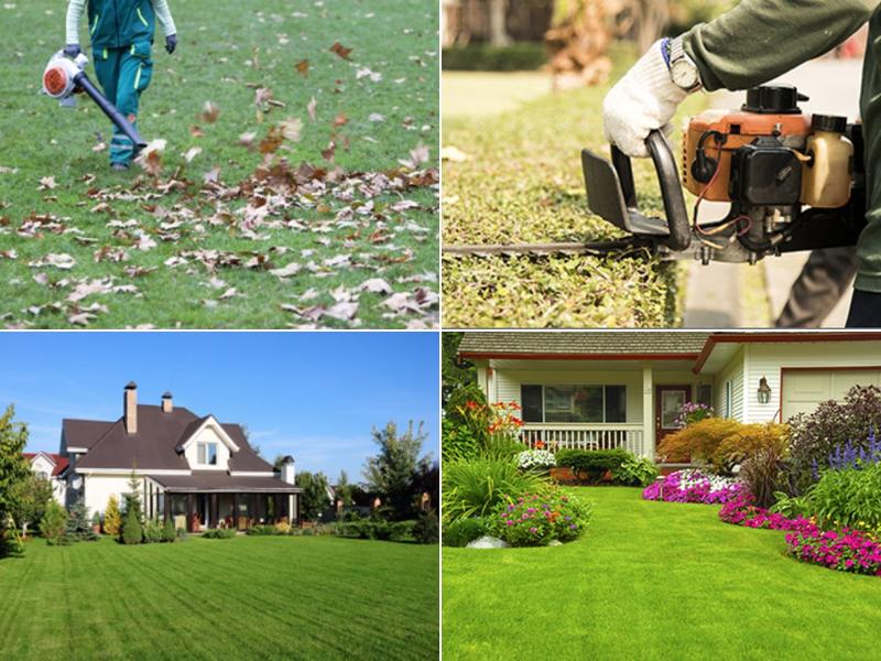 quality lawncare & snowplowing