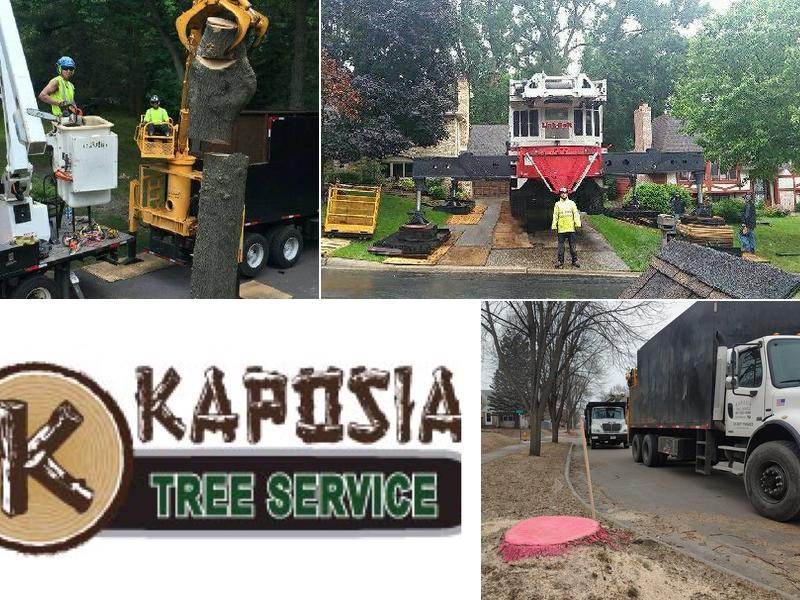 Kaposia Tree Service