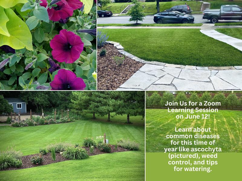 Organic Lawns by Lunseth - Sales Office