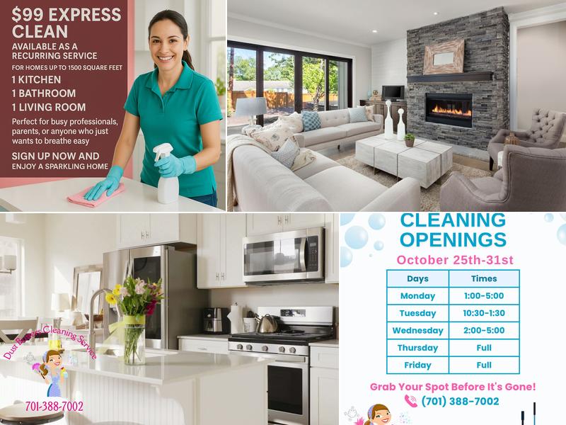 Dust Busters House Cleaning Service Fargo