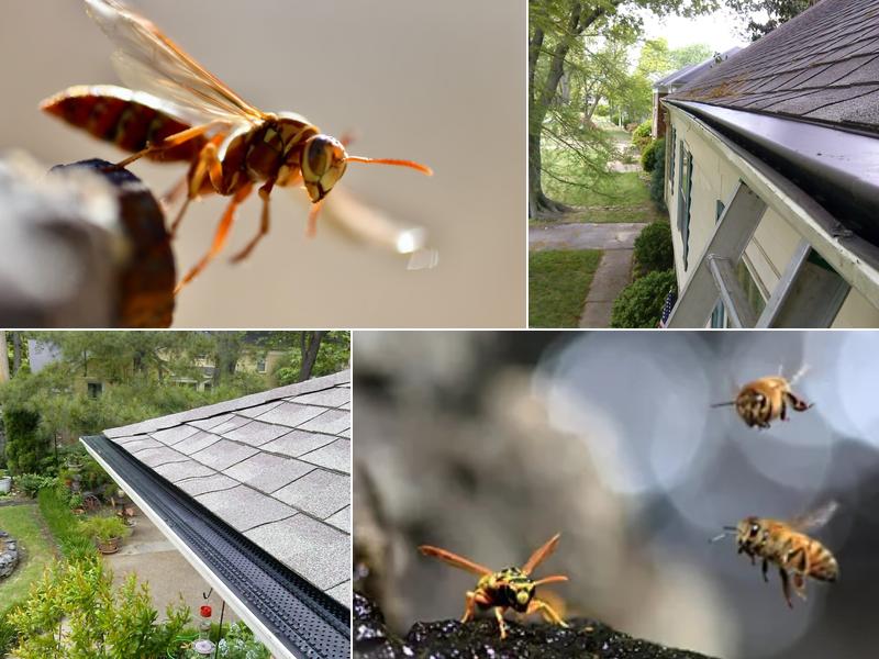 All Star Home Services