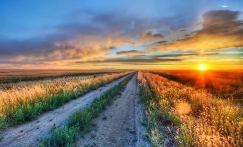 Tannis Kramer-Western Skies Real Estate