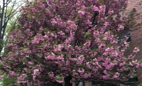 White Oak Co-Op Housing Corporation