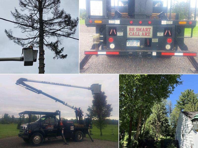 Art's Tree & Stump Removal