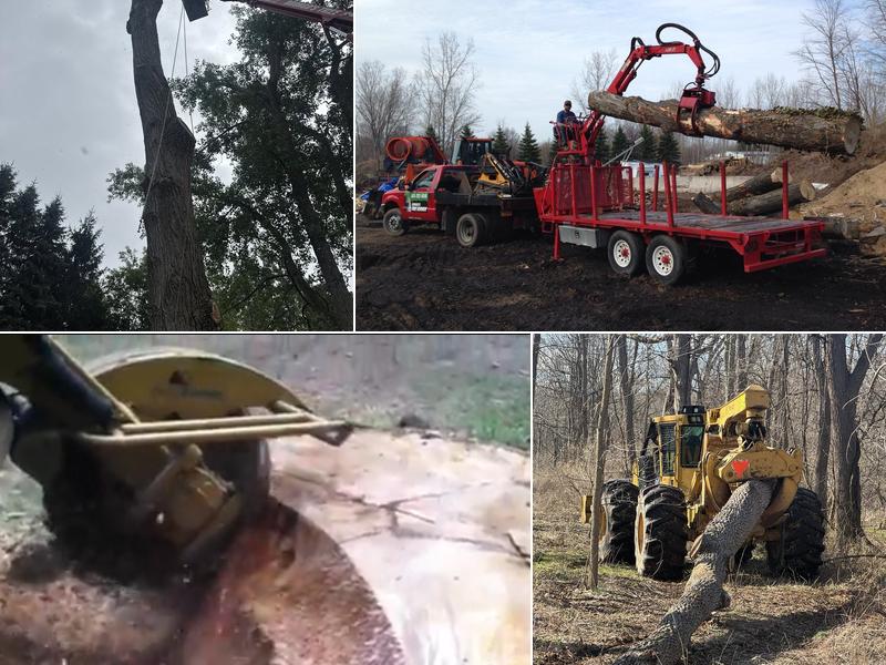 Brongo's Tree Service, LLC