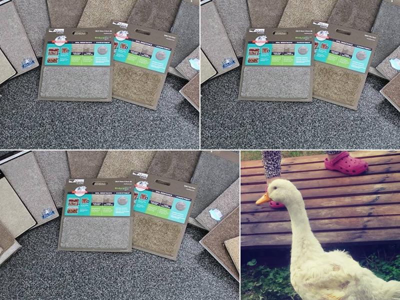 Britt's Carpet Service & Carpet Cleaning