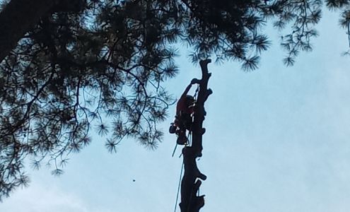 Affordable Handyman Services