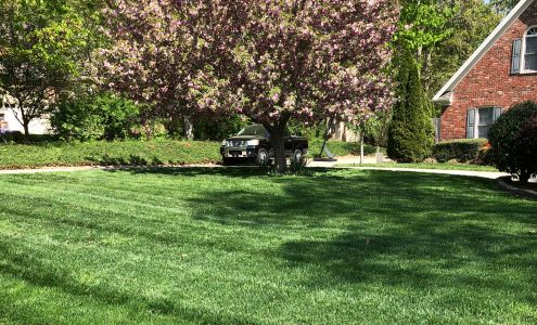 Wake Forest Lawn Service
