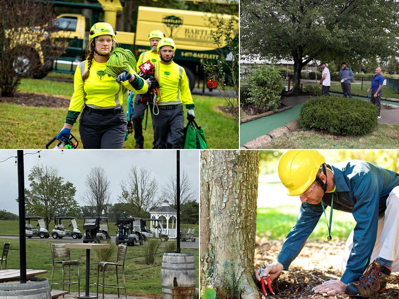 Bartlett Tree Experts