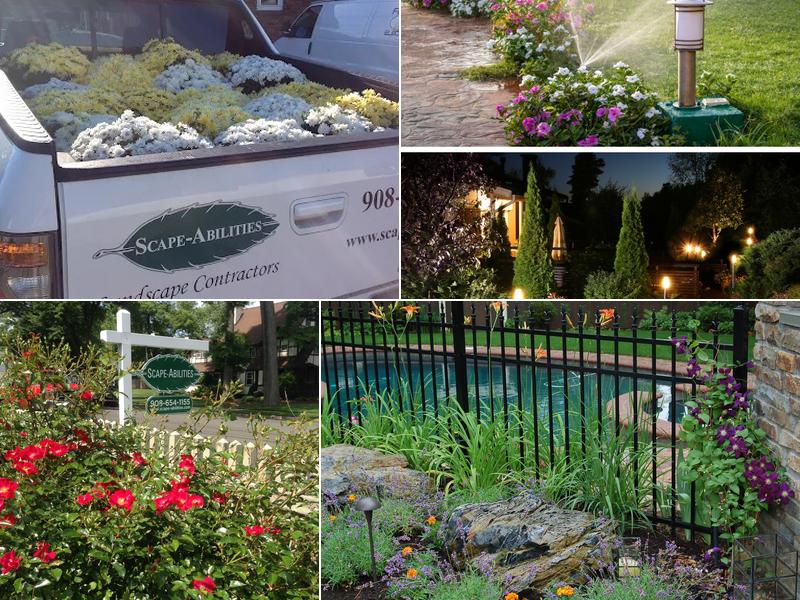 Scape-Abilities Lawn Care Services and Landscaping