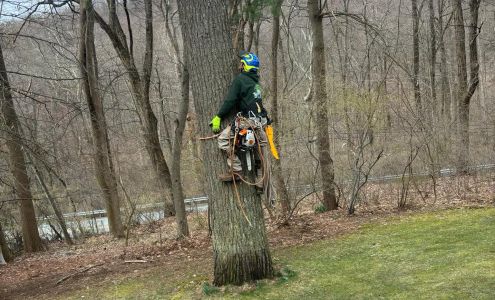 O'Leary's Tree Service, LLC