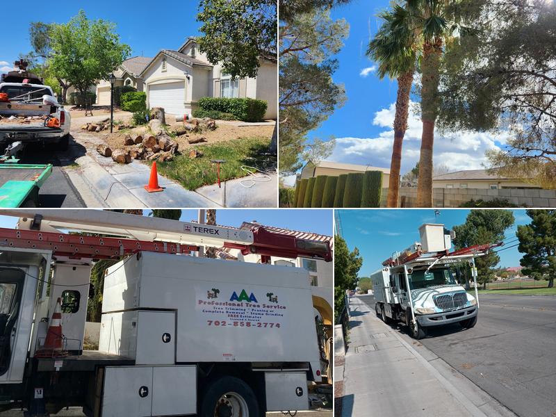 AAA Professional Tree Service