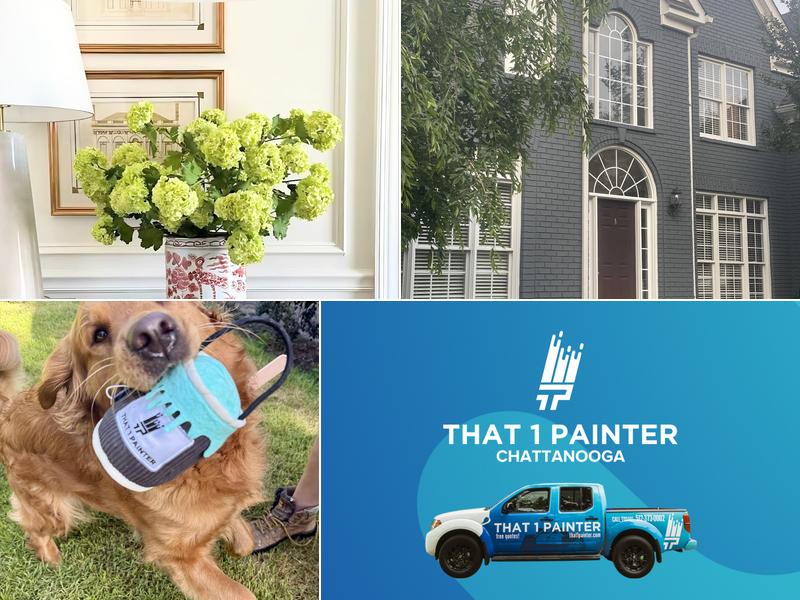 That 1 Painter Chattanooga