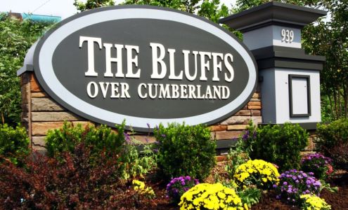 Bluffs Over Cumberland