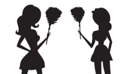 Lynns classy ladies cleaning crew