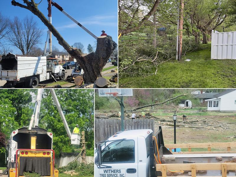 Withers Tree Service