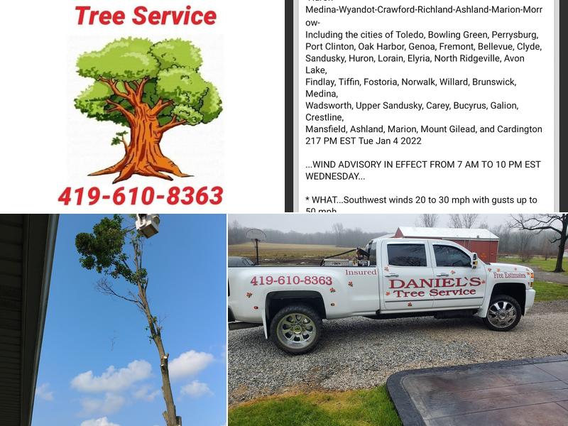 Daniel’s Tree Service