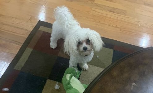 KD Construction & Remodeling LLC