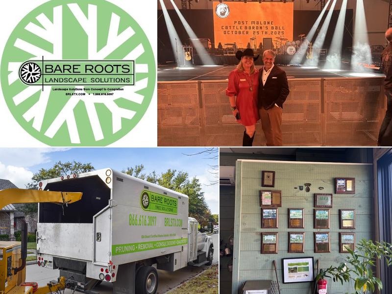 Bare Roots Tree Solutions