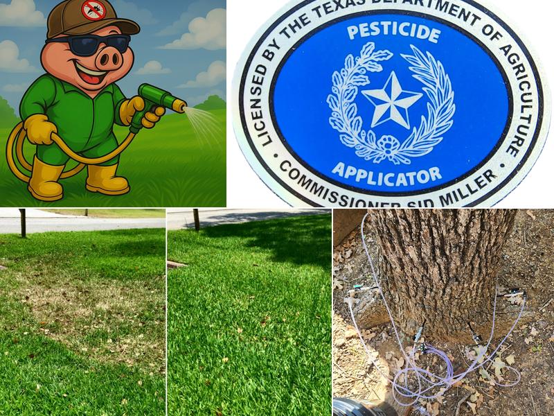 Hamann Weed Control & Exterior Pest Control