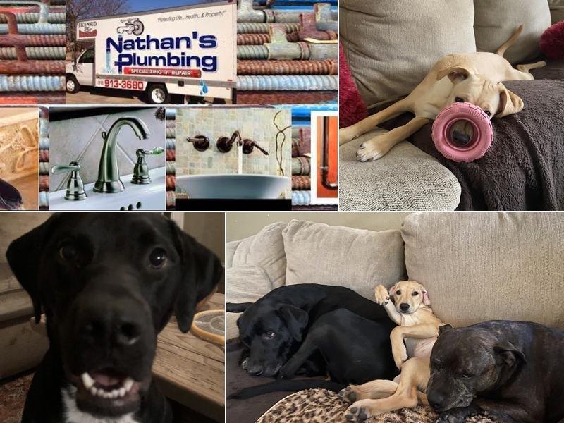 Nathan's Plumbing: Repair and Repiping Plumbers