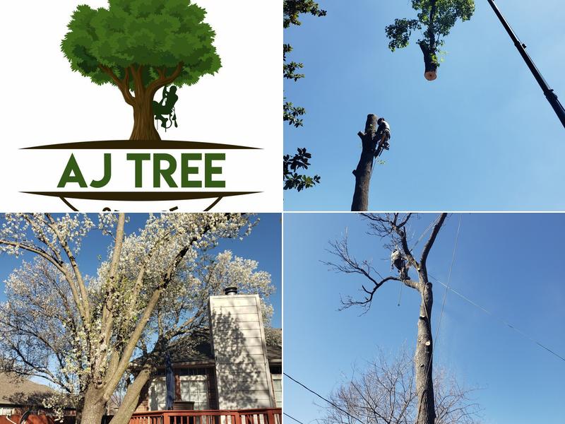 AJ Tree Service