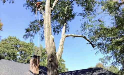 Get'em Down Tree Service 3210 Lee Rd 40, Salem Alabama 36874