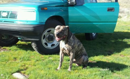 National Property Inspections 5433 E 2575 N, Eden Utah 84310