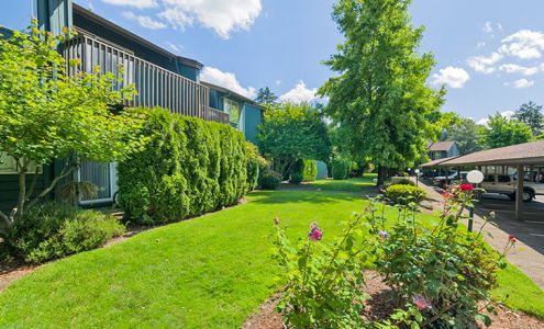 Forest Ridge Apartments