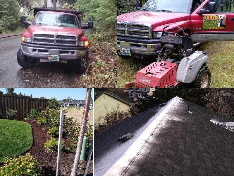 TONY'S LAWN CARE SERVICES