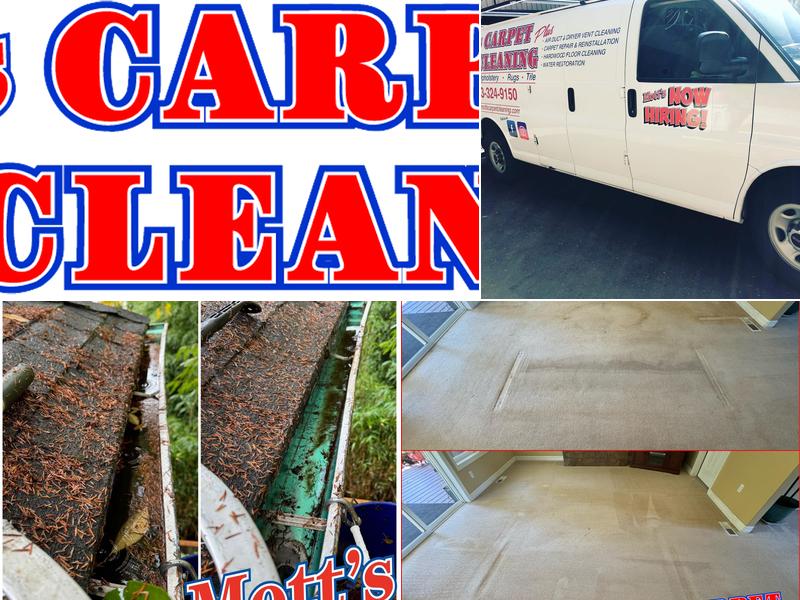 Mott's Carpet Cleaning