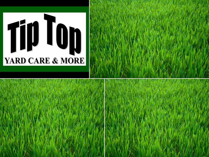 Tip Top Yard Care & More