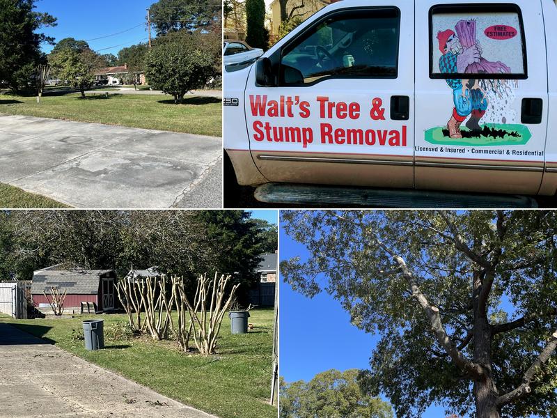 Walt's Tree & Stump Removal