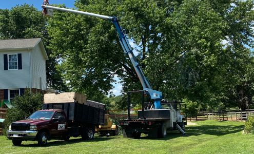 Lyrics Lawn & Home Care