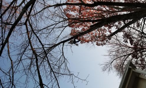 Bluestone Hills Cleaning Services