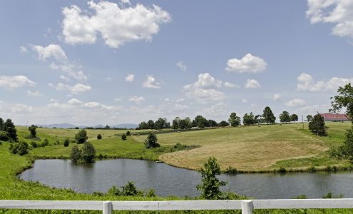 Amy Webb - A Home in Charlottesville