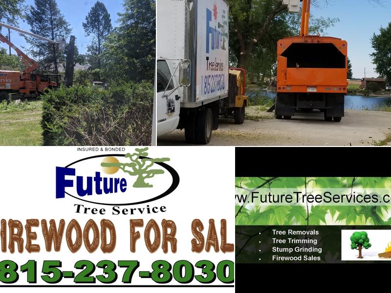 Future Tree Service