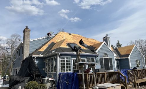 Lion Exteriors and Construction